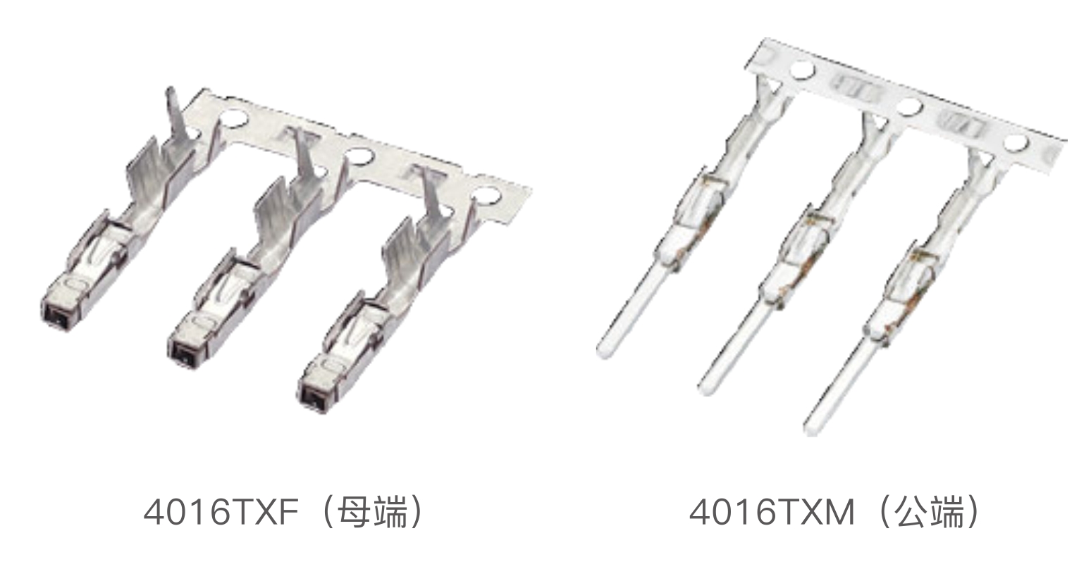 TAB 1.2 (4016) 复合端子